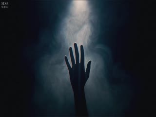 四手联弹，两首奏鸣曲