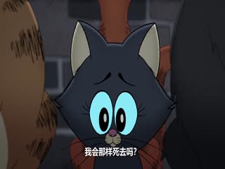 瑞奇·热维斯之街猫一族