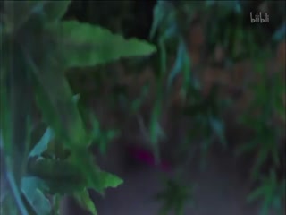 金光御九界之战血天道