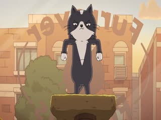小猫凯文