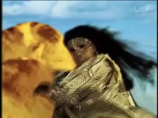 黑白龙狼传