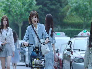 第五立面