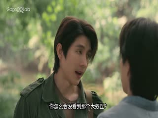 当光芒消逝