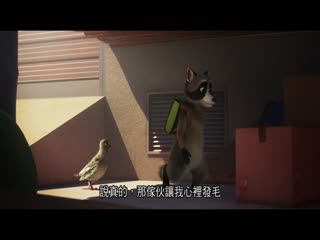 宠宠特快