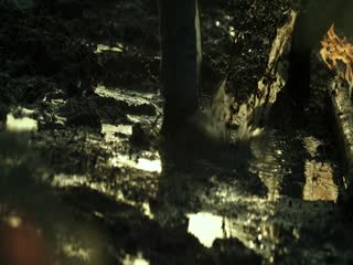 绝地重生2023