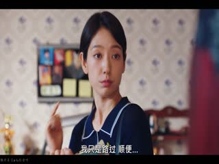 卧底洪小姐