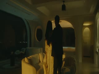宠它