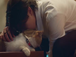 以猫饲爱