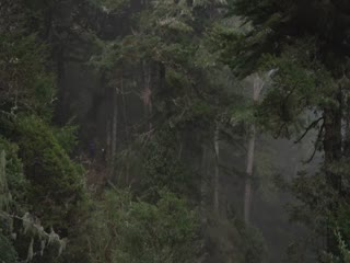 山的时间