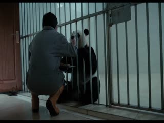熊猫奇遇记