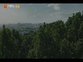 群星闪耀时