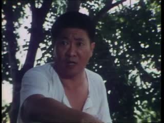 雾锁南洋