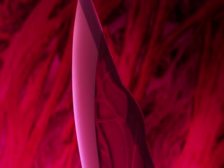 杖与剑的魔剑谭第二季