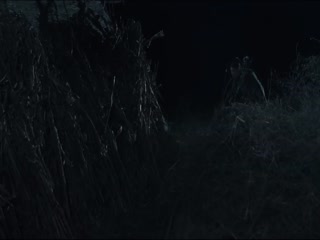 炮楼