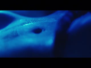触碰我