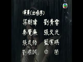 家有娇妻国语
