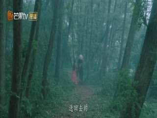 在你眉梢种红豆