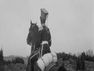 灰烬1965