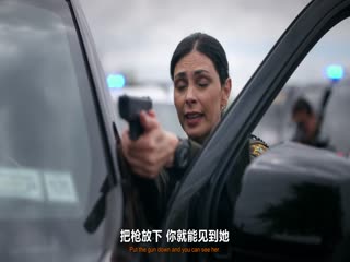 治安官之乡第一季