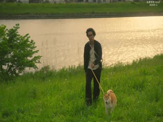 柴犬的规矩~我们这群狗痴编辑部~