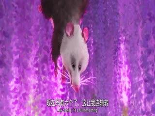 荒野机器人