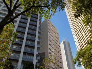 和歌子酒第六季