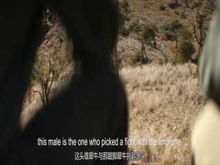 犀牛2025