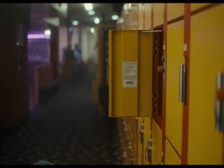 冷血狐狸