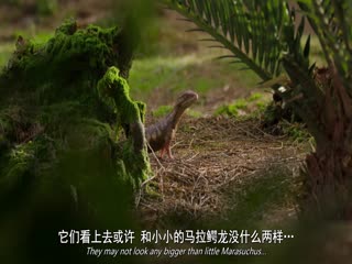 恐龙时代：你不知道的故事