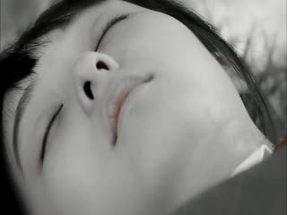 吸血鬼检察官