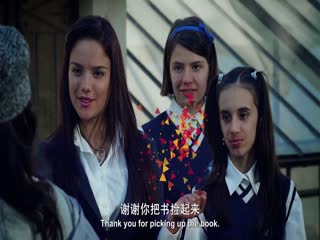 米雅的精灵王国