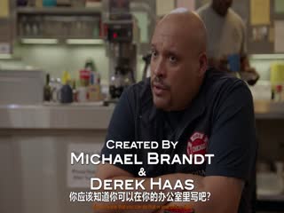 芝加哥烈焰第十四季