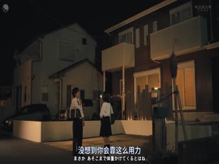 闪烁的爱情第一季