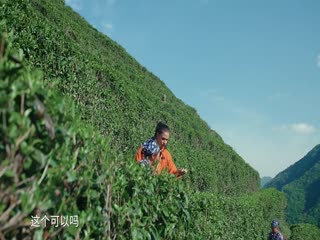 生物圈日记