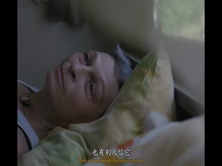 且听风言