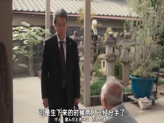 无垢的证人