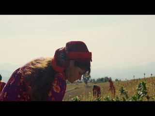 羊背上的DJ