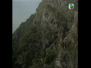 大地飞鹰国语