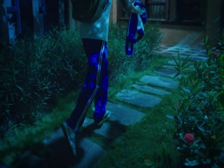 东北插班生2022