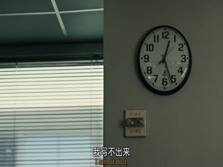 影子学者