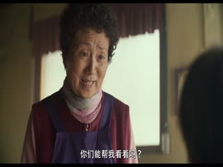 梦境2024