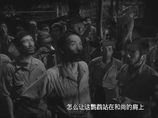 缅甸的竖琴1956