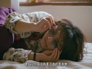 雾中之犬