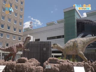 弹珠汽水瓶里的千岁同学