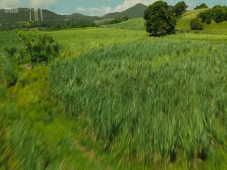 天堂岛疑云第十五季