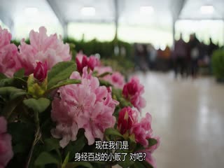 年节生意