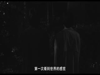 腐花之雨