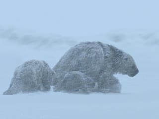 史前星球：冰川时代