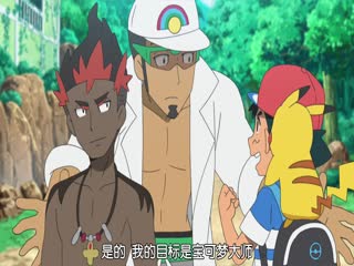 精灵宝可梦太阳与月亮