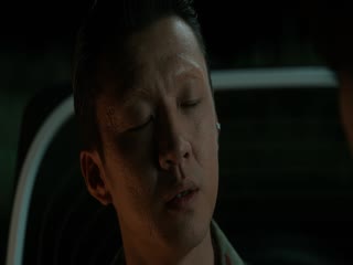 枭起青壤